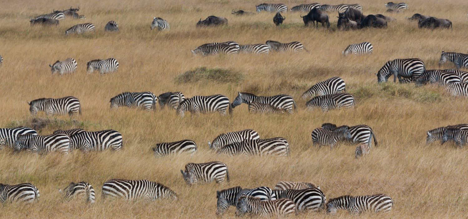 17th Greenstorm Photography Festival