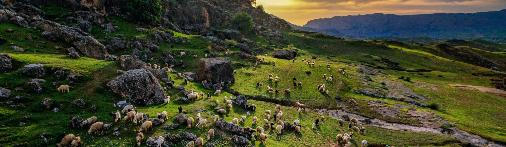 Explore Beautiful Rangelands & Grasslands