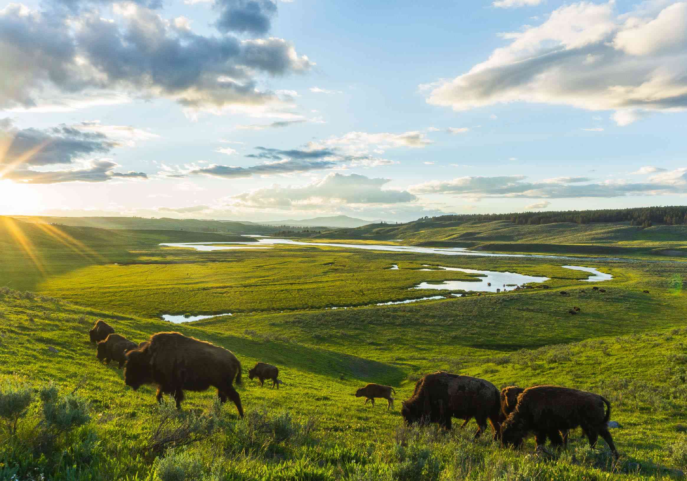 Beautiful Rangelands and Grasslands: Learning to See What Has Long Been Overlooked