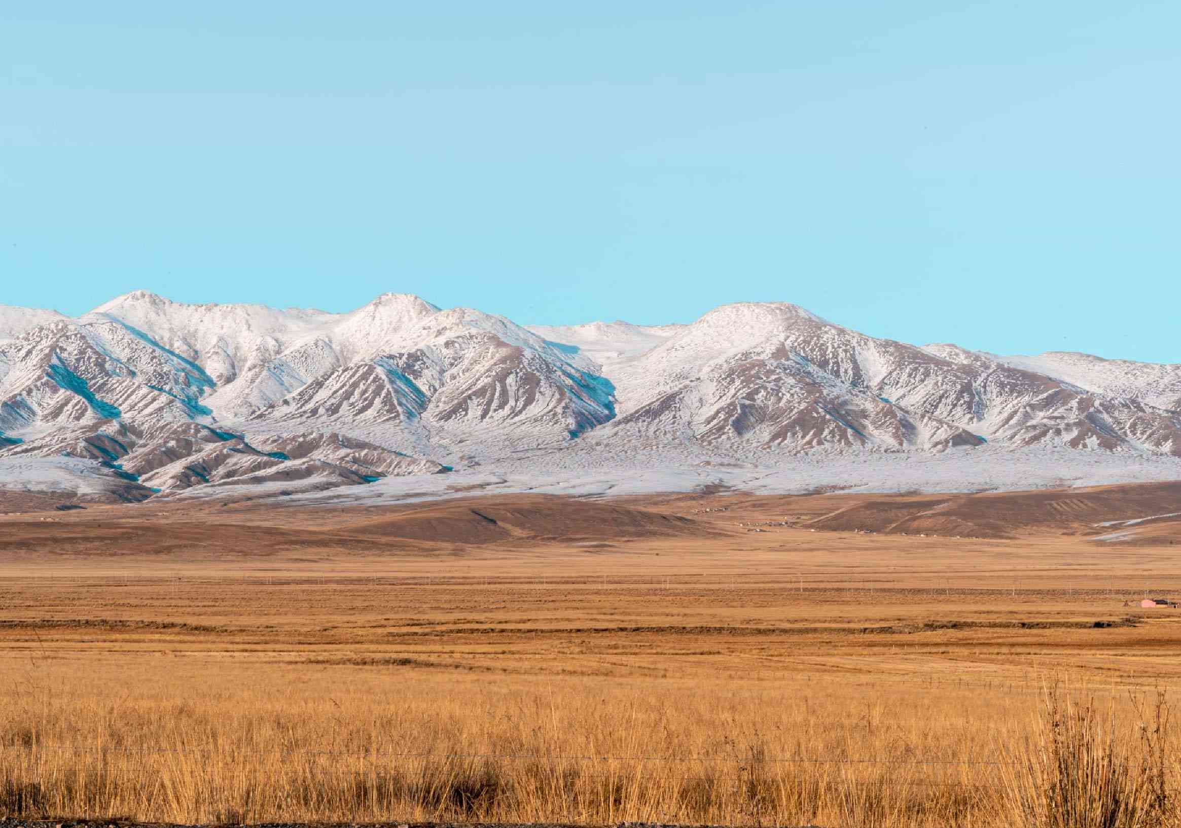 Rangelands, People, and the Future of Land: Why This Moment Matters