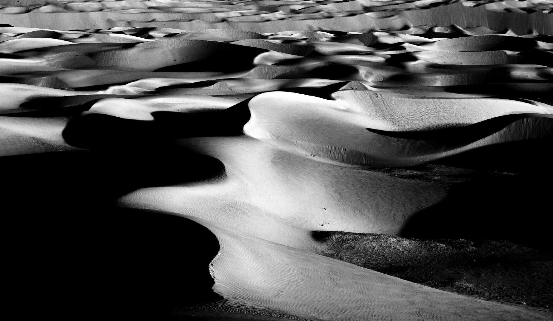 15th edition - Camera