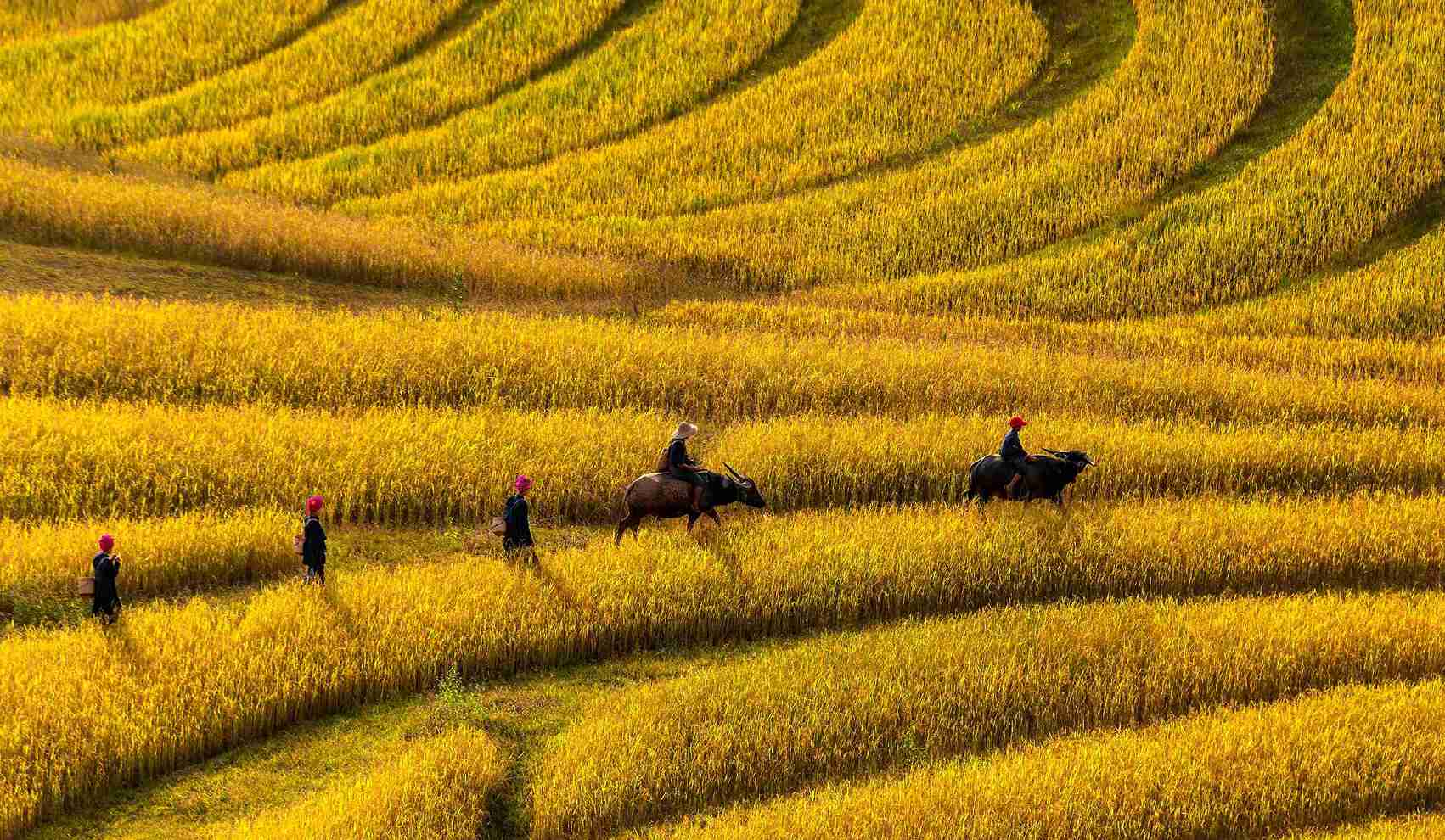 15th edition - Camera