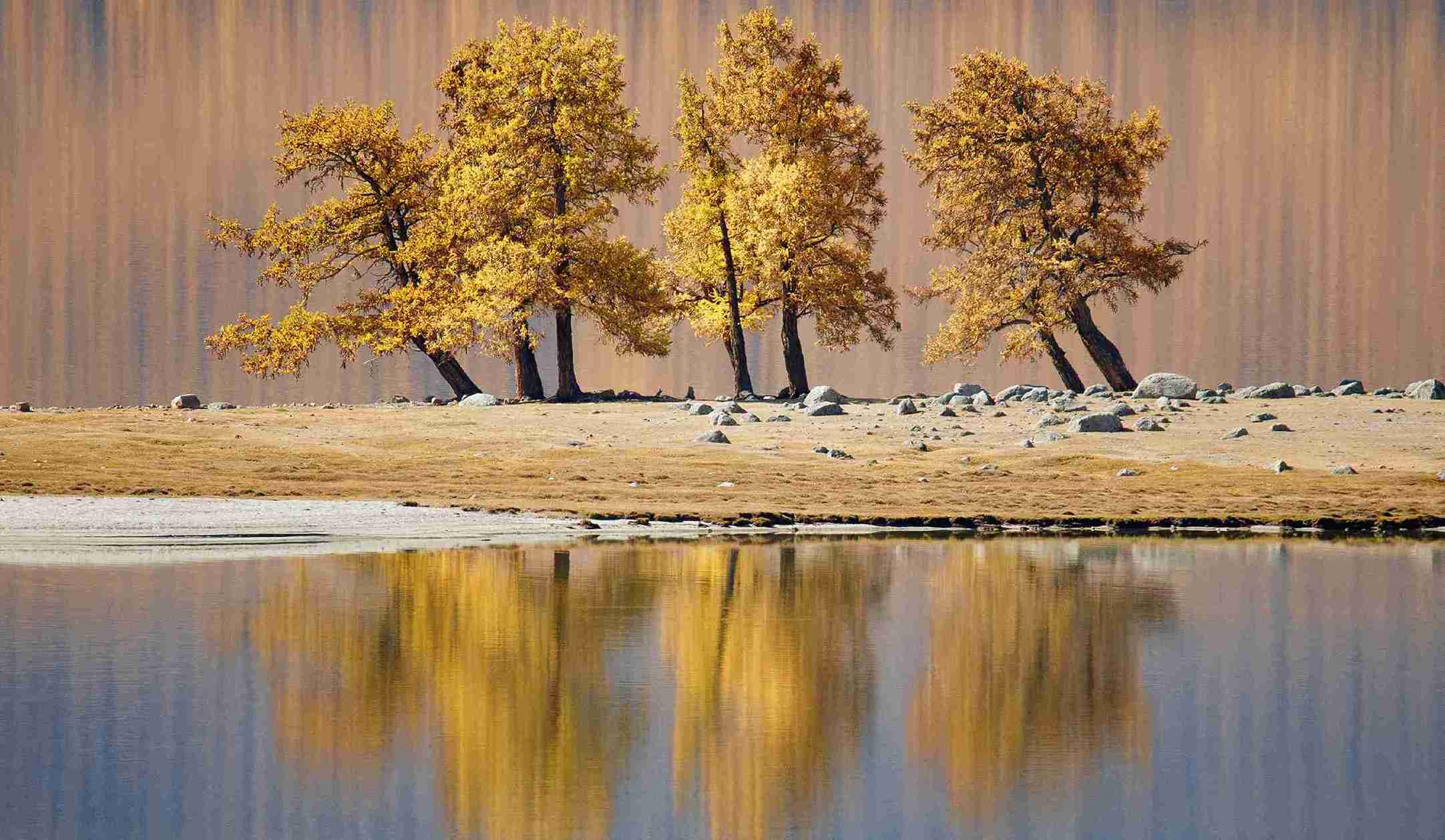 15th edition - Camera