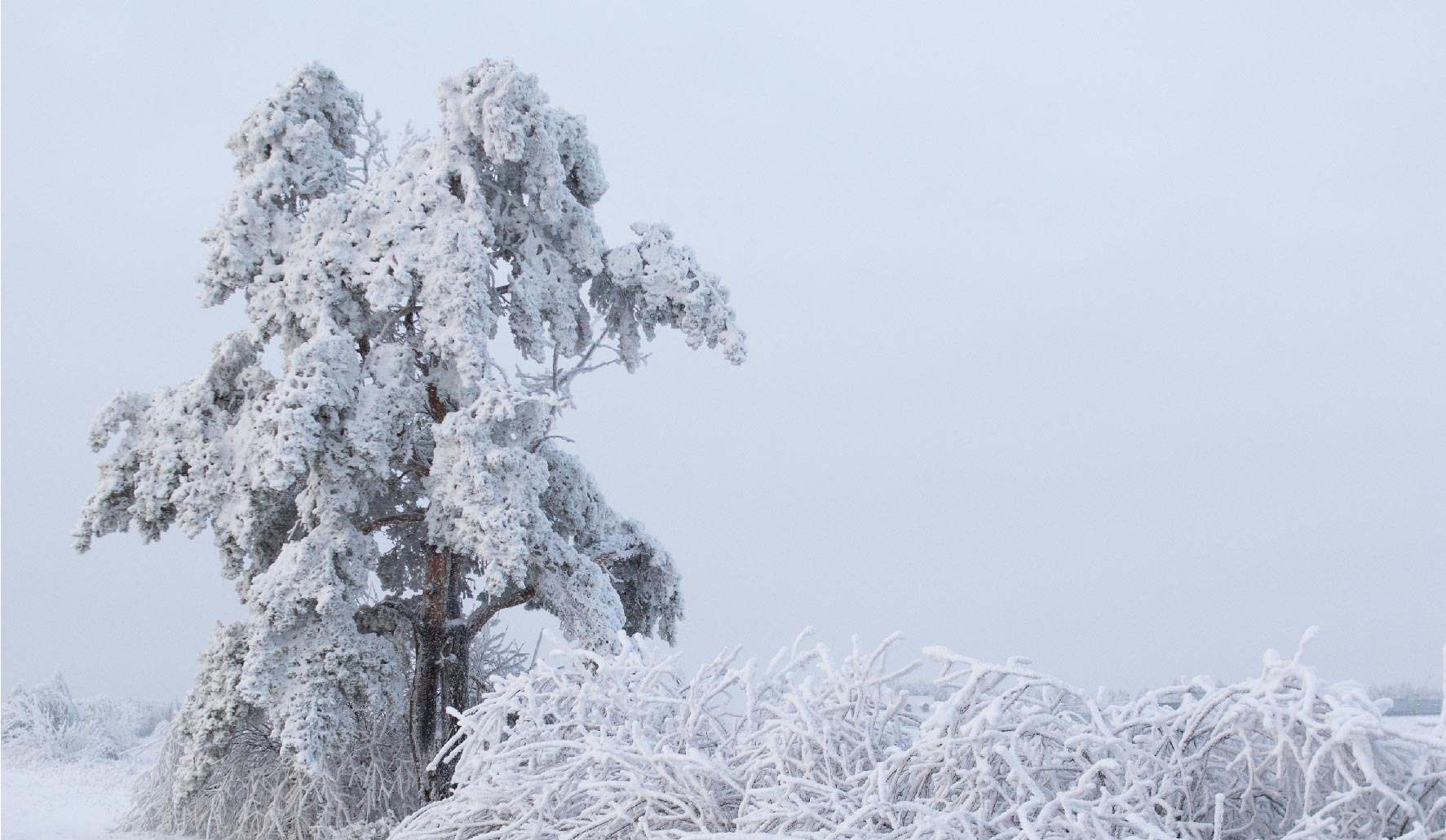 15th edition - Camera