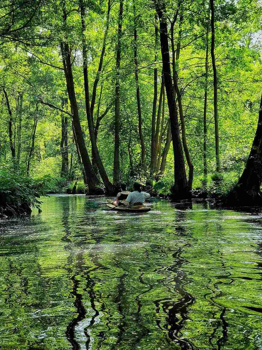 15th edition - Mobile