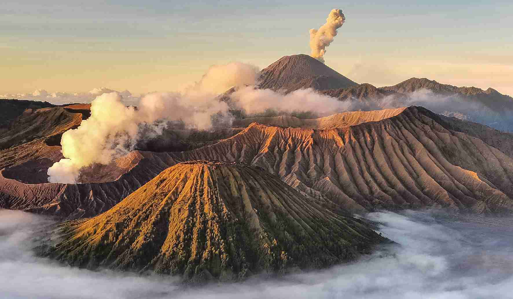 15th edition - Mobile