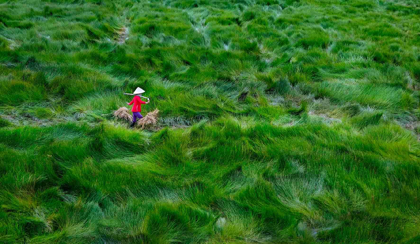 15th edition - Mobile