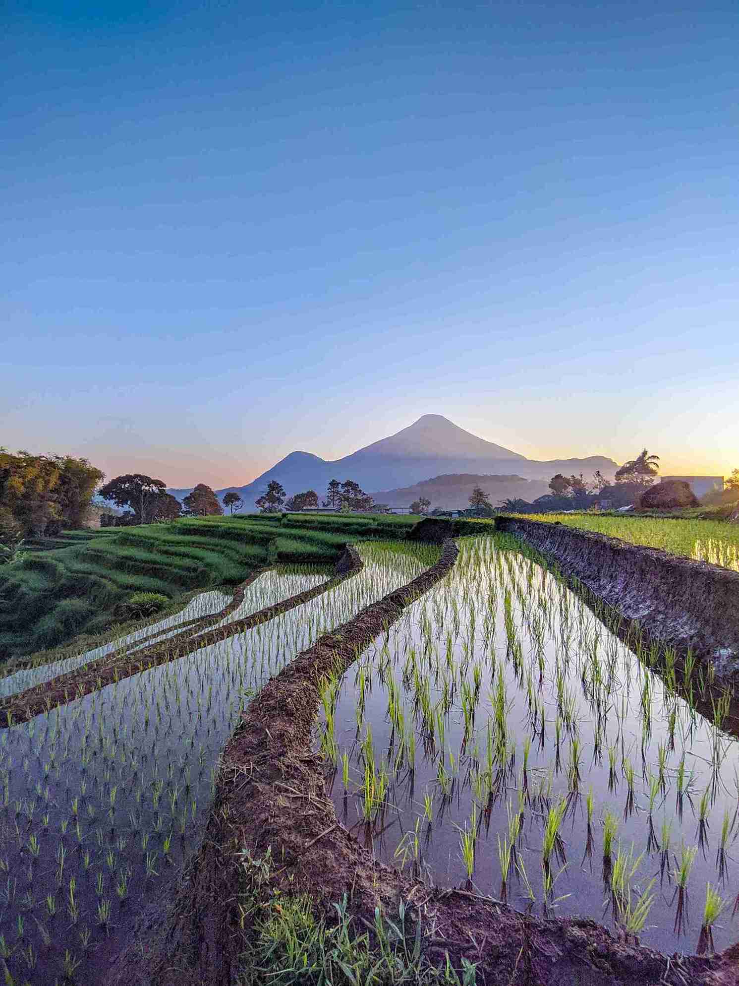 15th edition - Mobile