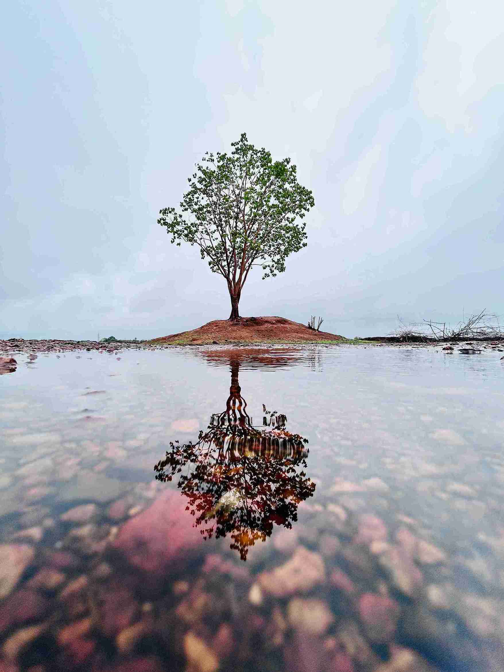 15th edition - Mobile