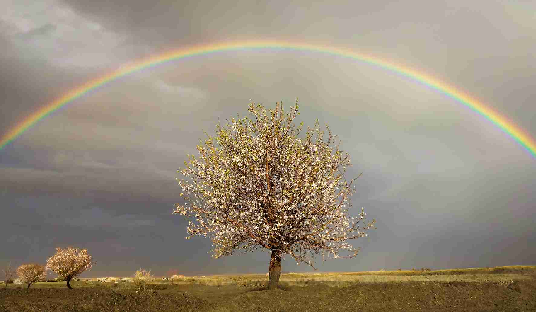 15th edition - Mobile