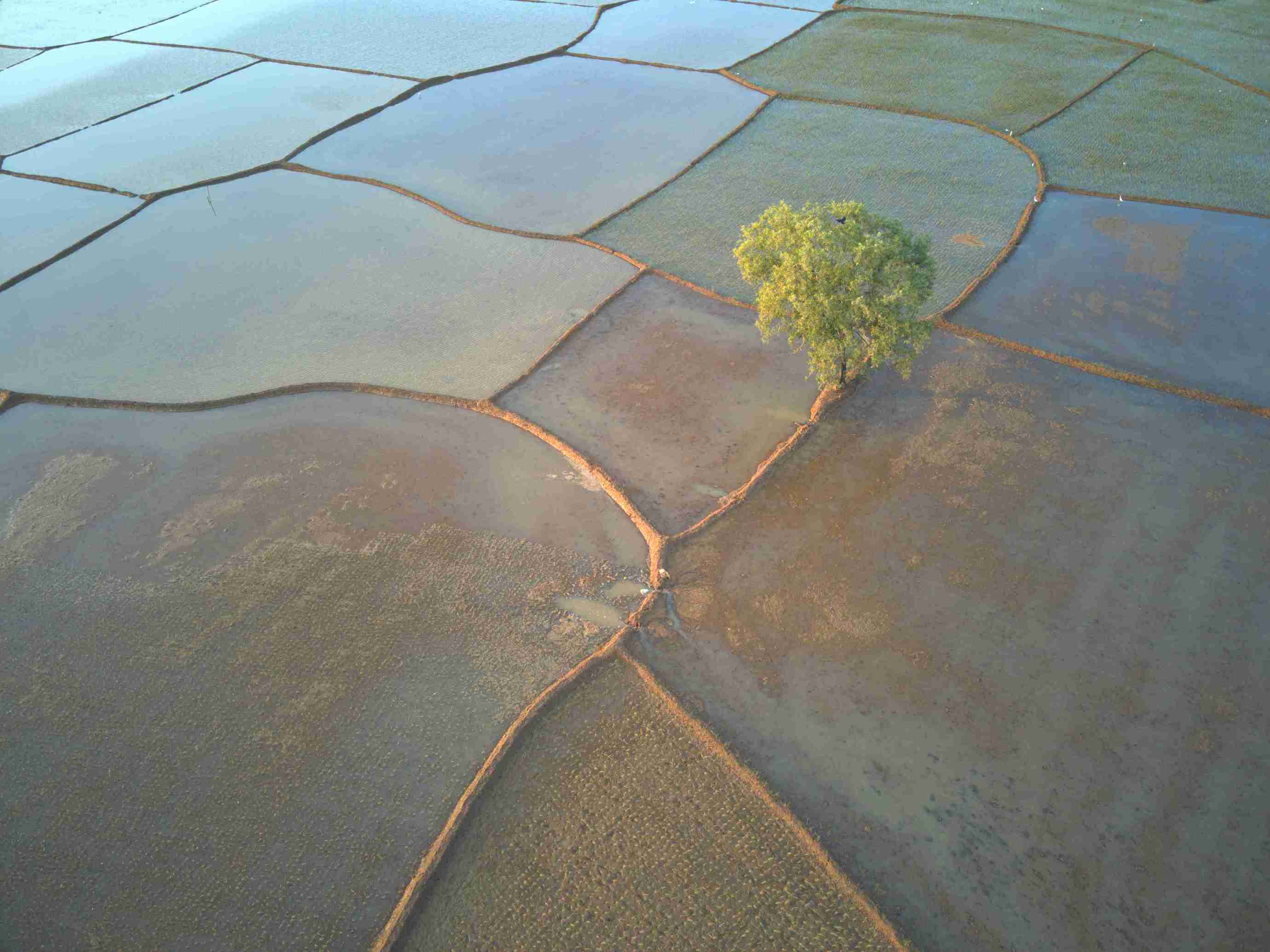 15th edition - Camera