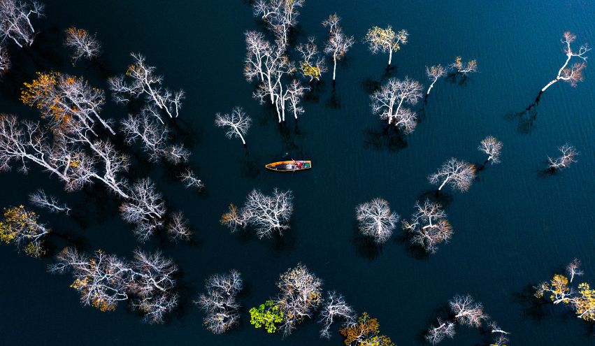 15th edition - Camera